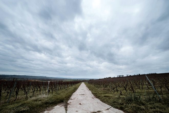 Samyang 14mm 2.8 AF für Canon - Test & Review 2