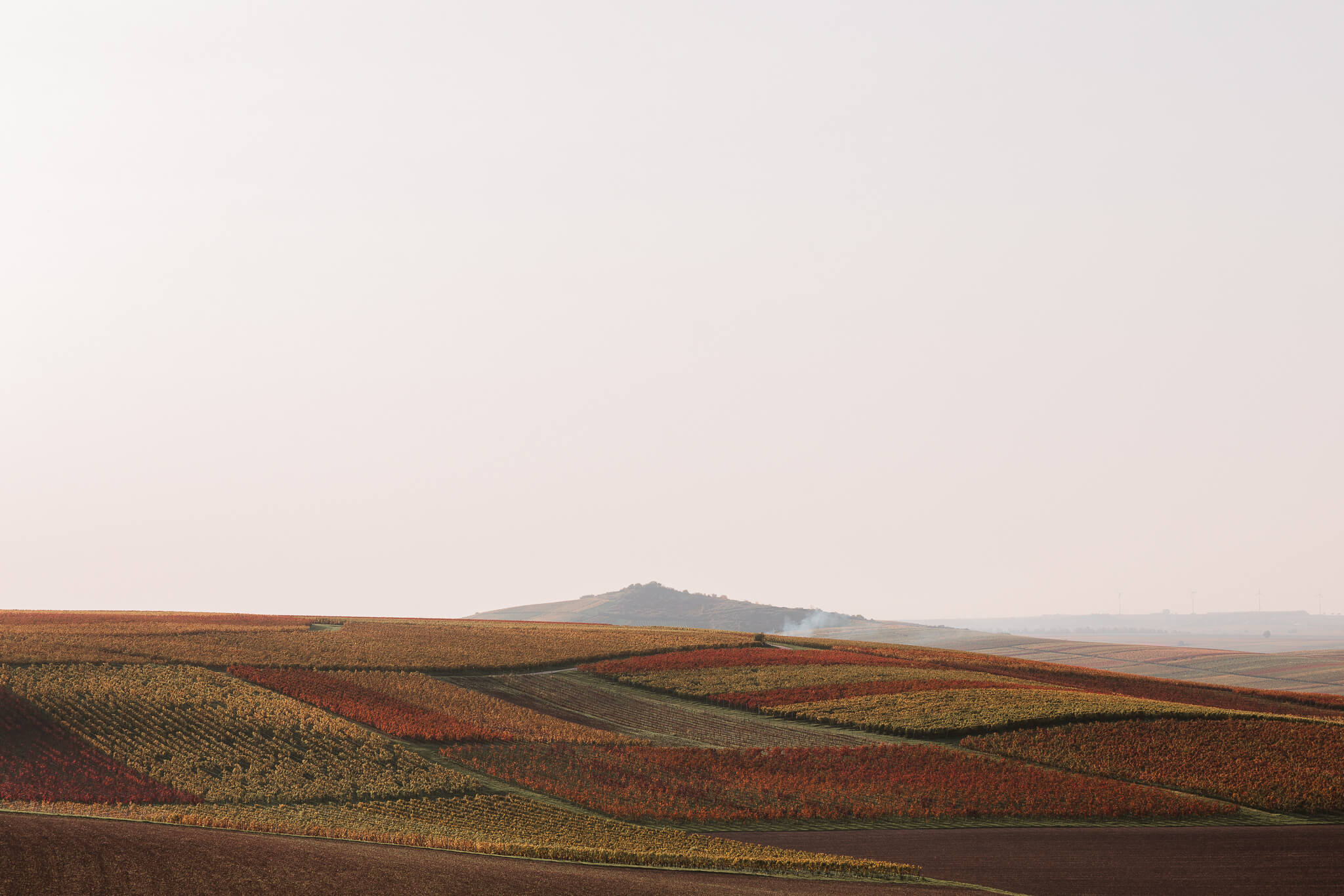 Einstieg in die Landschaftsfotografie: Herbstlandschaft hier in den Weinbergen - der Horizont wurde gerade ausgerichtet.