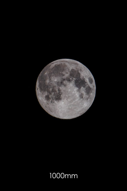 Mond mit 1000mm Brennweite fotografiert