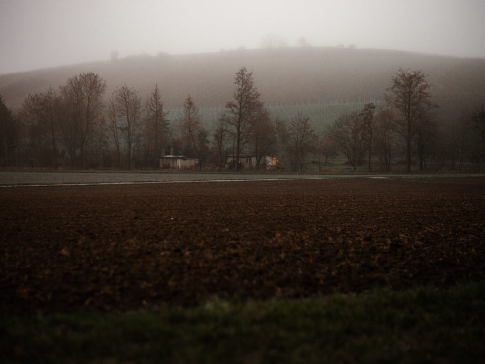 Pergear 35mm 1.2 für MFT: Review und Test 25