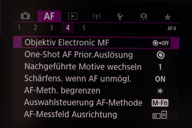 Einstellungen Canon EOS R6 - Tipps für das optimale Setup 13