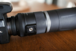 Canon RF 800mm F11 IS STM Test: Review / Testbericht für Canons RF Einsteiger Superteleobjektiv 1
