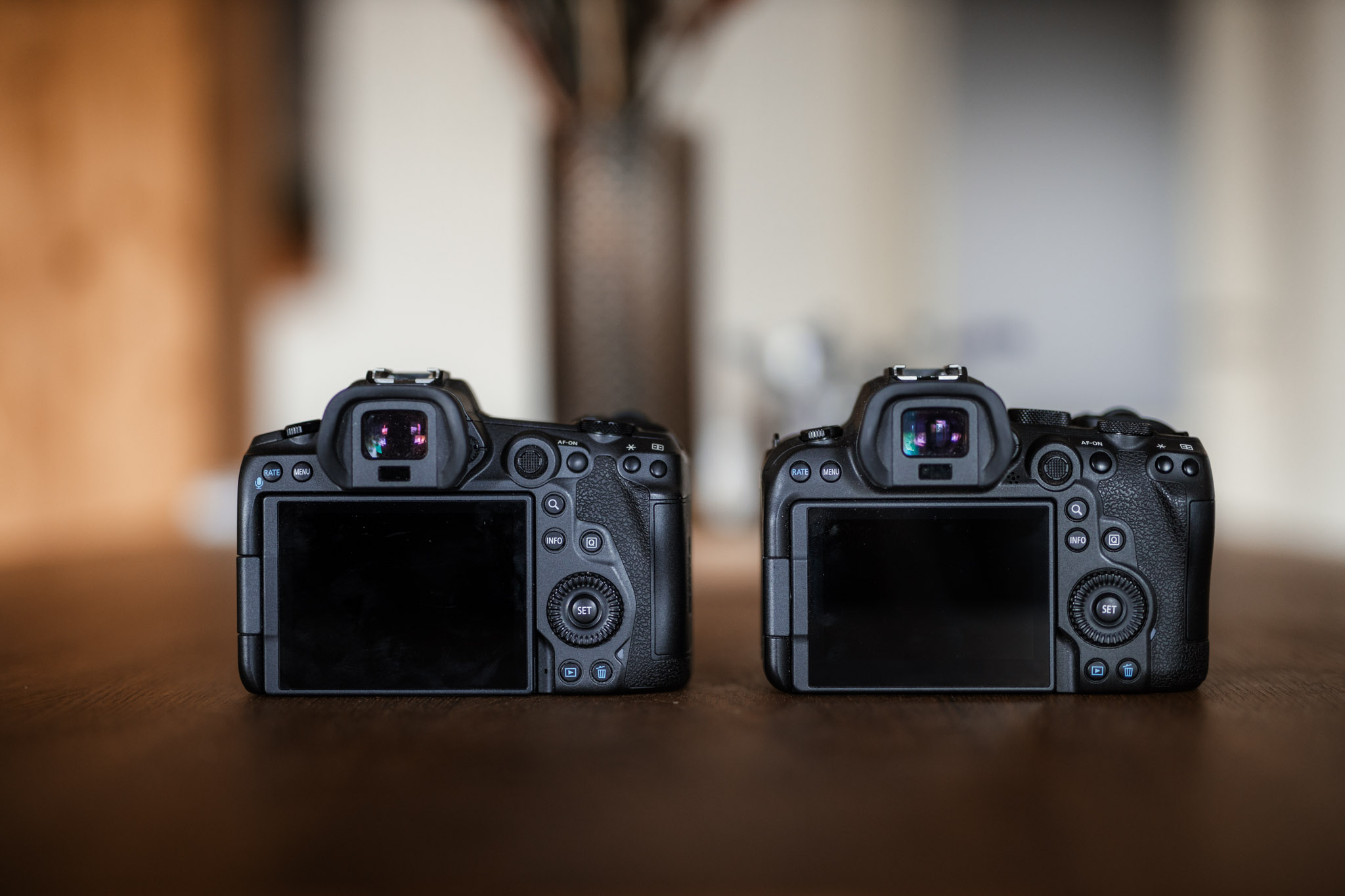 Vs: Canon EOS R5 oder R6 - Was kaufen? Gemeinsamkeiten, Unterschiede und Vergleich 4