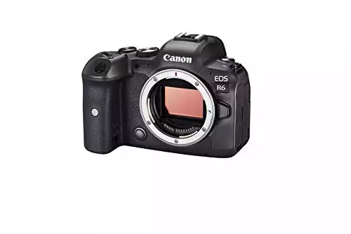 Canon EOS R6*