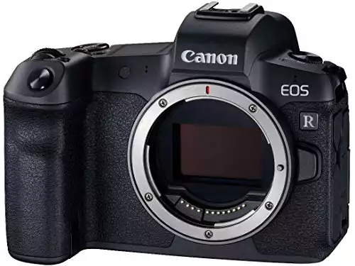 Canon EOS R*