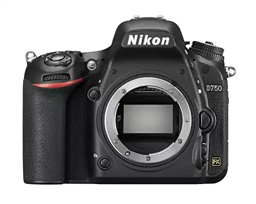 Semi Profi DSLR: Nikon D750*