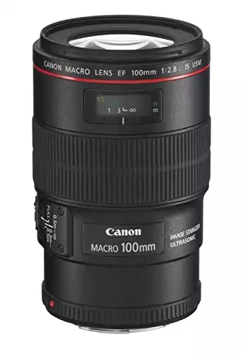 Canon  EF 100mm F2.8L Macro IS USM*
