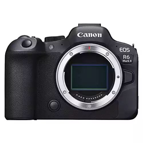 Canon EOS R6 Mark II*
