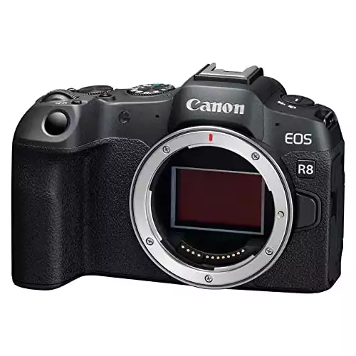 Canon EOS R8 Systemkamera*