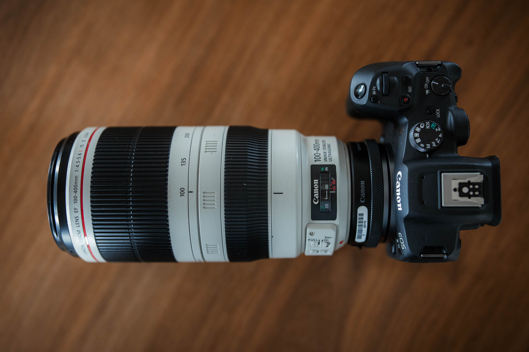 Canon EOS R7 Test - Erfahrungen, Testbericht, Testfotos 6