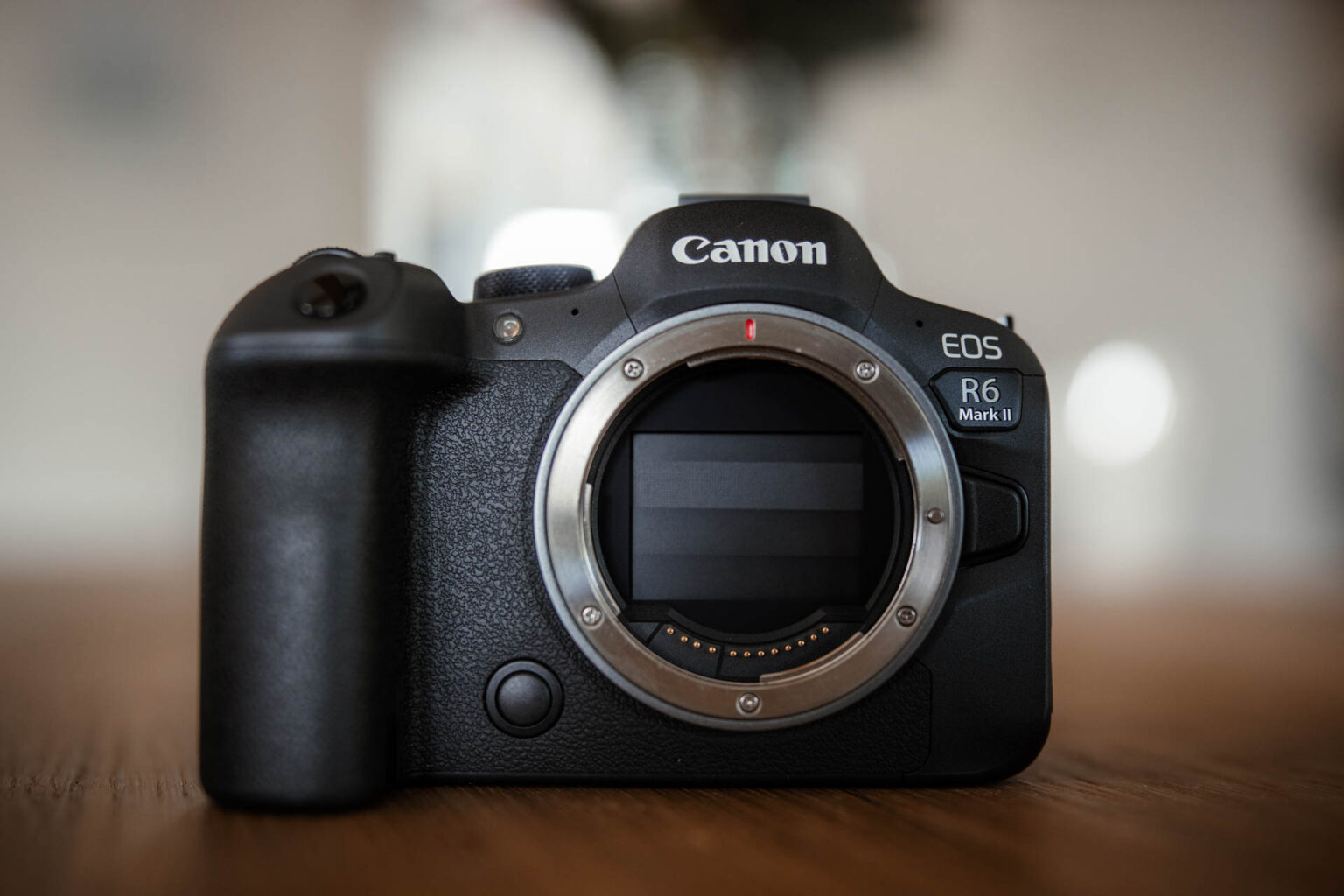 Canon EOS R6 Mark II Test, Review und Erfahrungen zur R3 Alternative 2