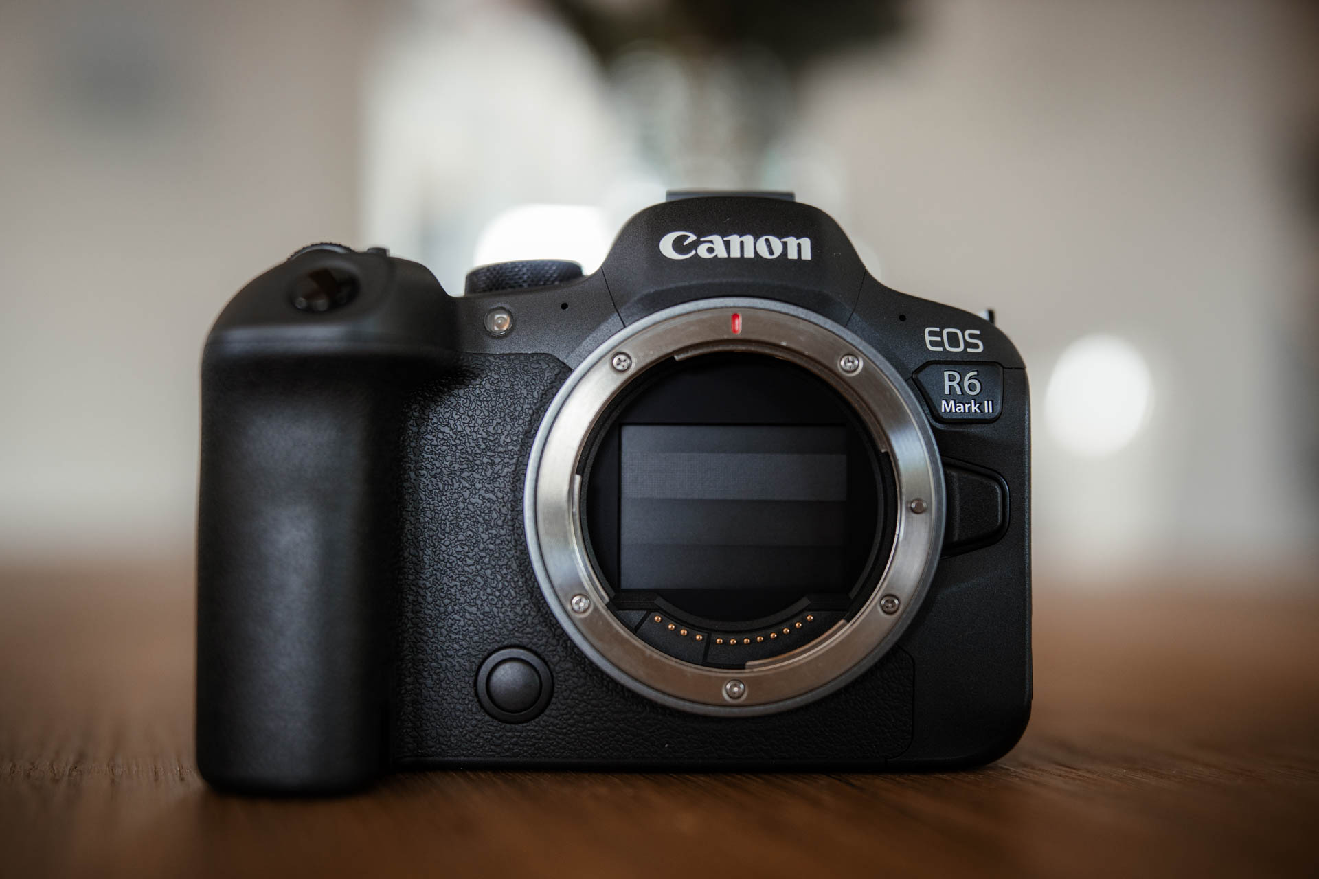 Canon EOS R6 Mark II Test, Review und Erfahrungen zur R3 Alternative 5