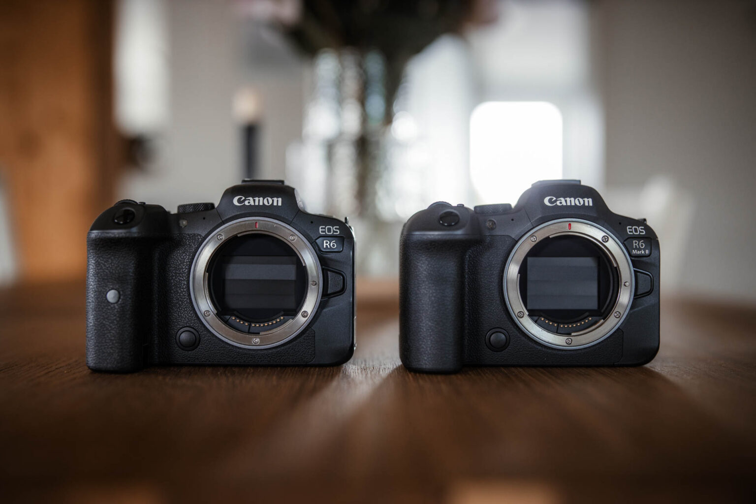 Canon EOS R6 VS EOS R6 Mark II - Vergleich der Canon DSLM 2