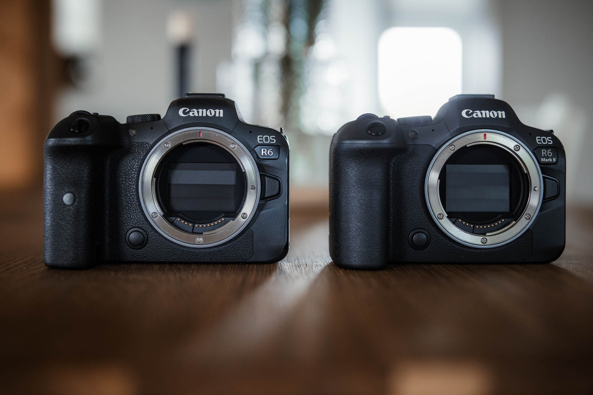 Canon EOS R6 VS EOS R6 Mark II - Vergleich der Canon DSLM 4