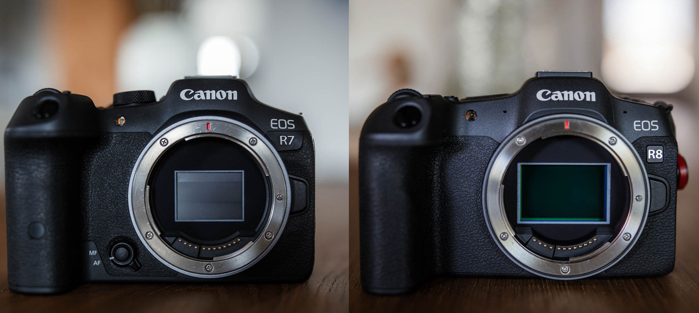 Canon EOS R7 vs. EOS R8 - Vergleich der Systemkameras 2